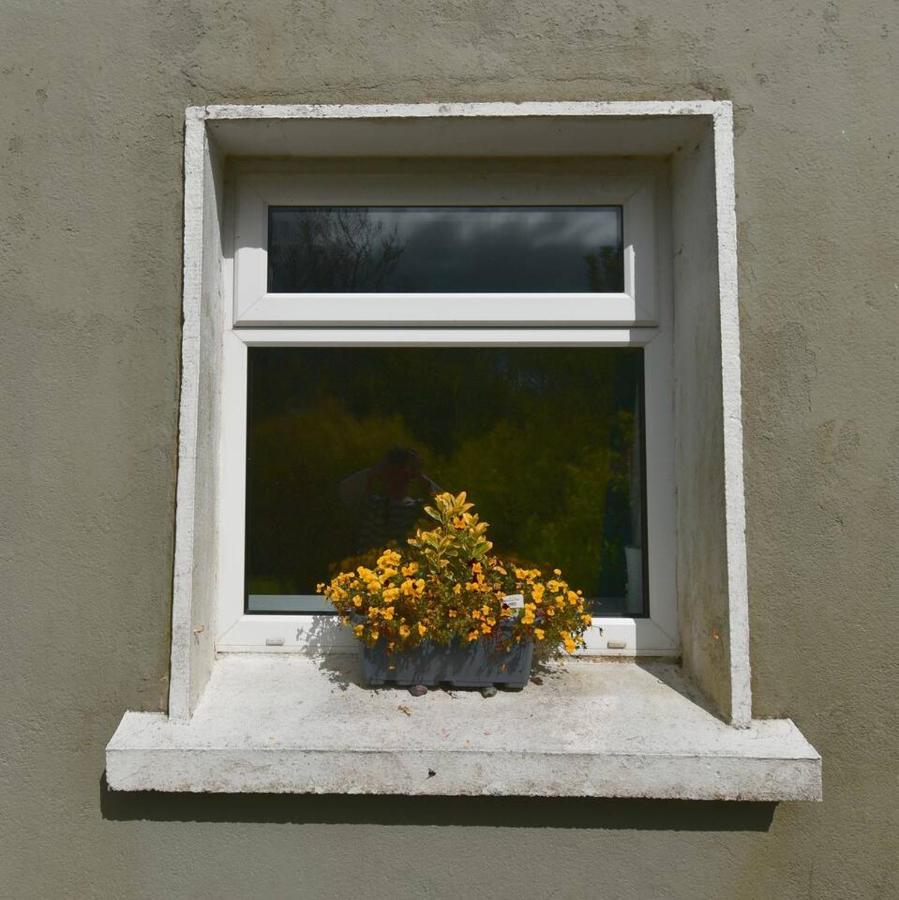 Peaceful Cottage Cork Bagian luar foto